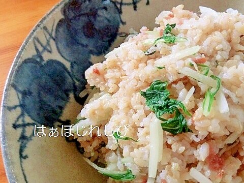 じゃこと梅と水菜の混ぜご飯✿